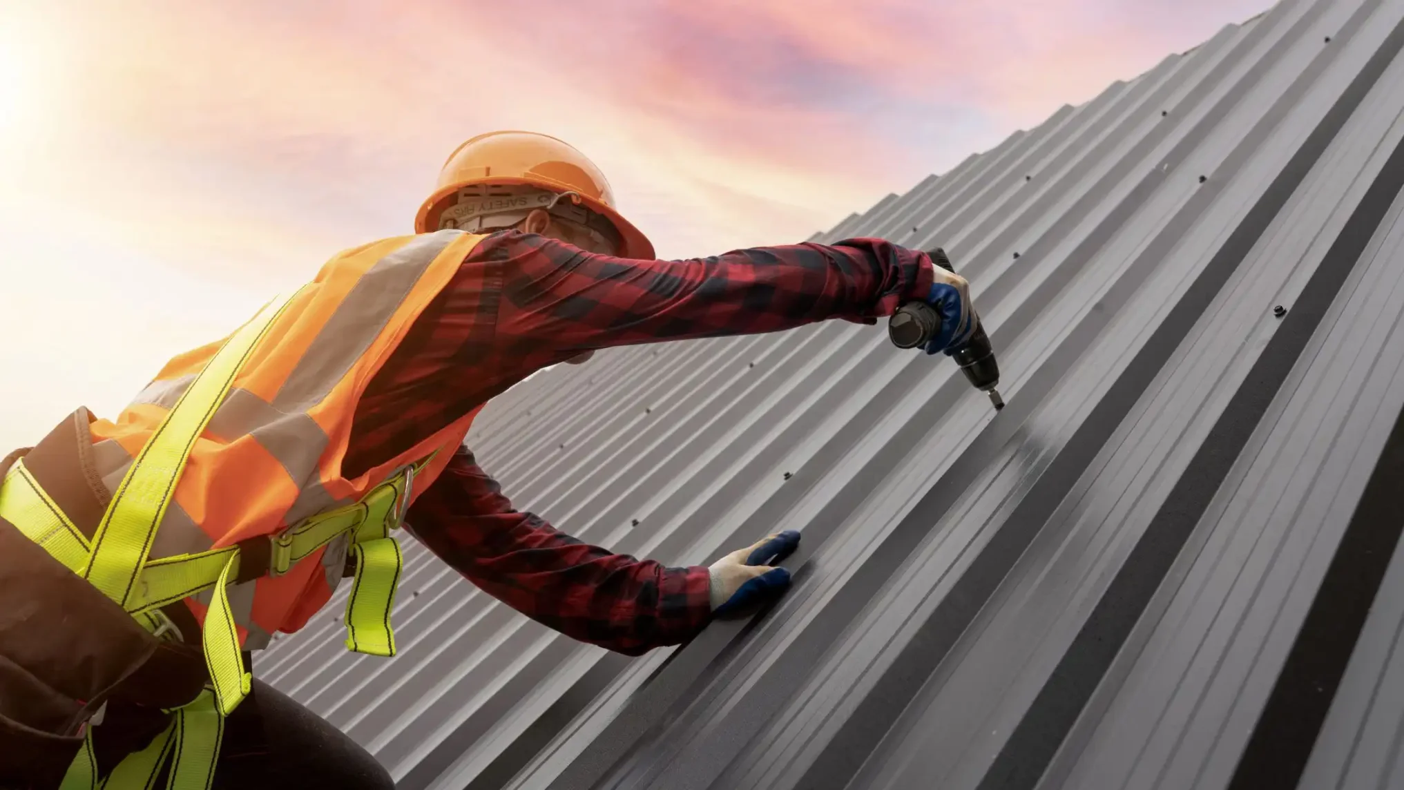 Everything You Need to Know About Steel Roof Panels